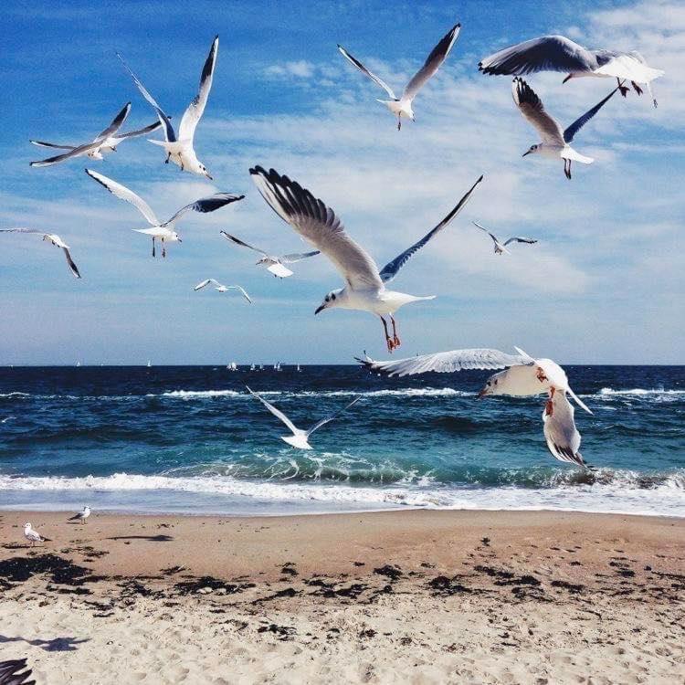 Wave 2 Mamaia Prima Linie Vedere La Mare 120Mp Năvodari Exteriér fotografie