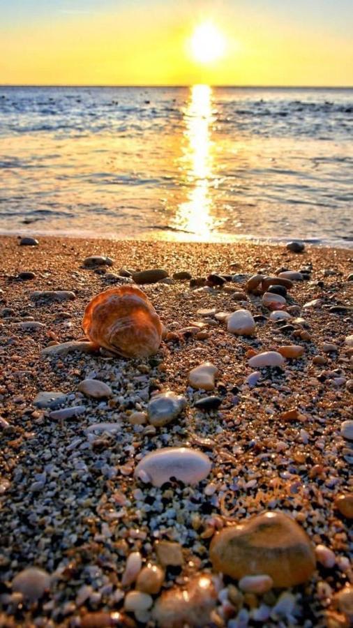 Wave 2 Mamaia Prima Linie Vedere La Mare 120Mp Năvodari Exteriér fotografie